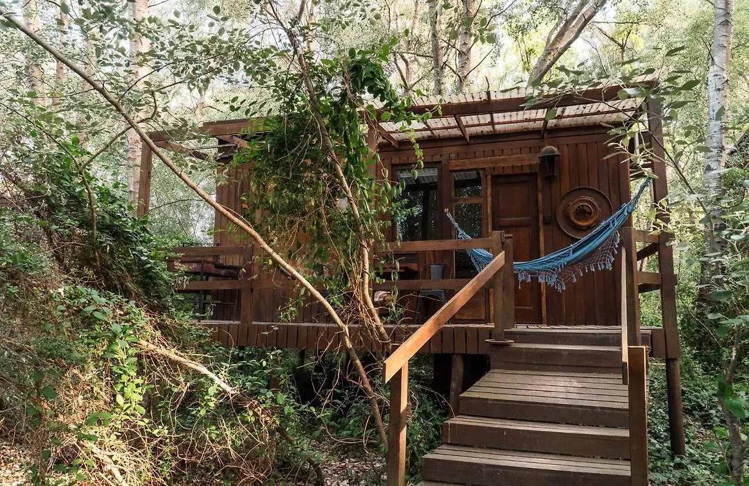 Cabañas en el Bosque a 5 minutos del mar - Estancia CH-1