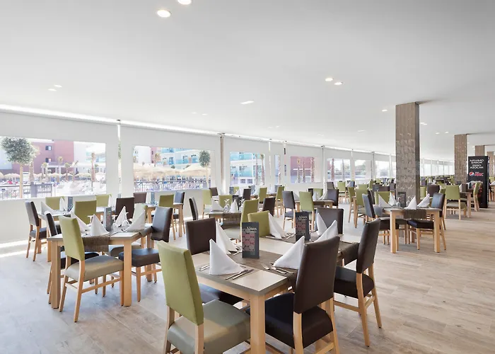 Hotel que admite mascotas: Hotel Best Costa Ballena