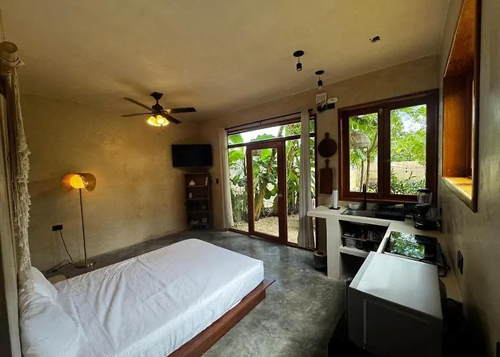 Casa Plátano Villa&palapa with private garden